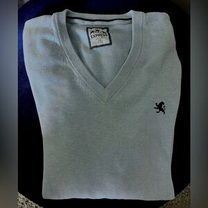 Express Blue V-Neck Sweater